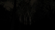 Slender: The Arrival: Screen aus dem Horror Adventure.