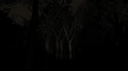 Slender: The Arrival - Screen aus dem Horror Adventure.