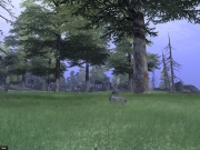 Vanguard: Saga of Heroes - Landschaftseindrücke zum MMO auf Basis der Unreal Engine 2.