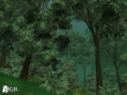 Vanguard: Saga of Heroes - Eindrücke aus dem MMO auf Basis der Unreal Engine 2.