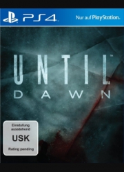 Until Dawn