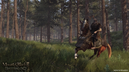 Mount & Blade II: Bannerlord - Official Screenshots