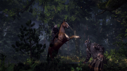 The Witcher 3: Wild Hunt - Erste Screens zum Rollenspiel.