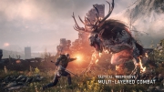 The Witcher 3: Wild Hunt - Screen zum dritten Teil.