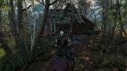 The Witcher 3: Wild Hunt - 4K Bilder 130415