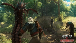 The Witcher 3: Wild Hunt - Screenshot April 16