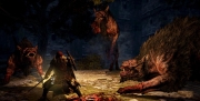 Dragon's Dogma: Dark Arisen - Erstes Bildmaterial zur Erweiterung