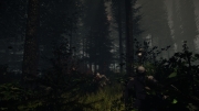 The Forest: Neue Screens zum Survival-Spiel.