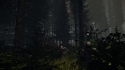 The Forest - Neue Screens zum Survival-Spiel.