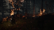 The Forest: Neue Screens zum Survival-Spiel.