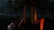 The Forest - Aktuelle Screens zum Horror-Survivor Game.