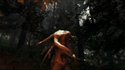 The Forest - Aktuelle Screens zum Horror-Survivor Game.