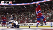 NHL 14 - NHL Ingame Screens Sep.