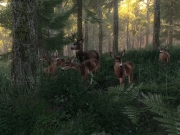The Hunter 2014 - Ingame Screenshots
