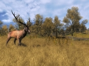 The Hunter 2014: Ingame Screenshots