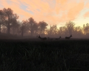 The Hunter 2014 - Ingame Screenshots