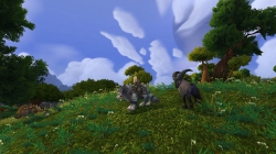 World of Warcraft: Warlords of Draenor - Screen zum Spiel.