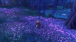 World of Warcraft: Warlords of Draenor - Screen zum Spiel.