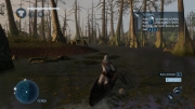 Assassin's Creed: Liberation HD: Ingame Screenshots - Bericht