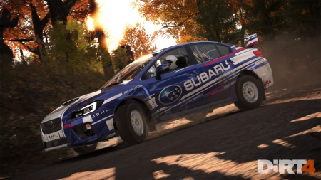 DIRT 4 - Ankündigungsbilder 2017