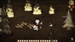 Don't Starve: Screeshots