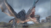 Monster Hunter Frontier G: PS Vita Screen zum Online-Rollenspiel.