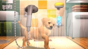 PlayStation Vita Pets - Screeshots