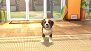 PlayStation Vita Pets - Screeshots