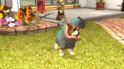 PlayStation Vita Pets - Screeshots