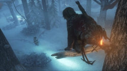 Rise of the Tomb Raider - Screenshots August 15