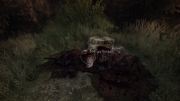 The Vanishing of Ethan Carter: Screenshots zum Artikel