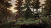 The Vanishing of Ethan Carter - Screenshots zum Artikel