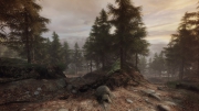 The Vanishing of Ethan Carter: Screenshots zum Artikel