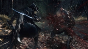 Bloodborne - Screenshots Januar 15