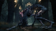 Bloodborne: Screenshots Januar 15