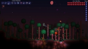 Terraria: Screenshots Dezember 14