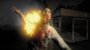 H1Z1: Screenshots Januar 15