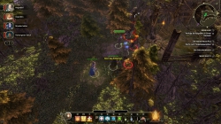 Sword Coast Legends - Screenshots zum Artikel