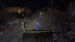 Sword Coast Legends: Screenshots zum Artikel