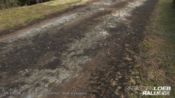 Sebastian Loeb Rally Evo - First Screens