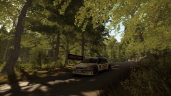 DiRT Rally - Tarmac-Terror Update