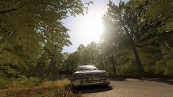 DiRT Rally - Tarmac-Terror Update