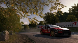 DiRT Rally - Update 0.9