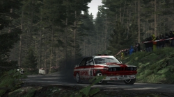 DiRT Rally - Screenshots zum Artikel