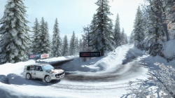 DiRT Rally: Screenshots zum Artikel