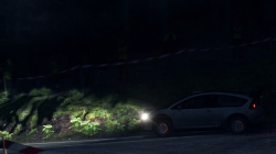 DiRT Rally: Screenshots zum Artikel