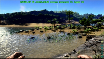 Ark: Survival Evolved - Screenshots zum Artikel