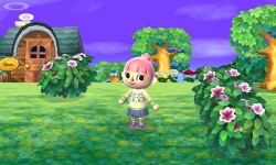 Animal Crossing: New Leaf - Screenshots Juli 15