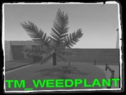 Wolfenstein: Enemy Territory - Weedplant