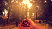 Firewatch: Screen zum Spiel.